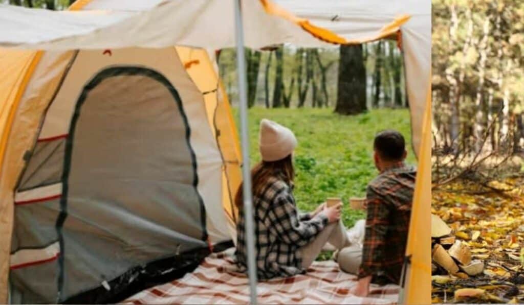 camping de wildernis