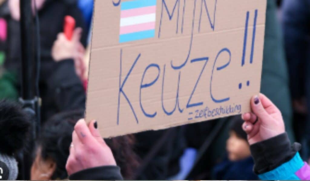 Nederlandse Media