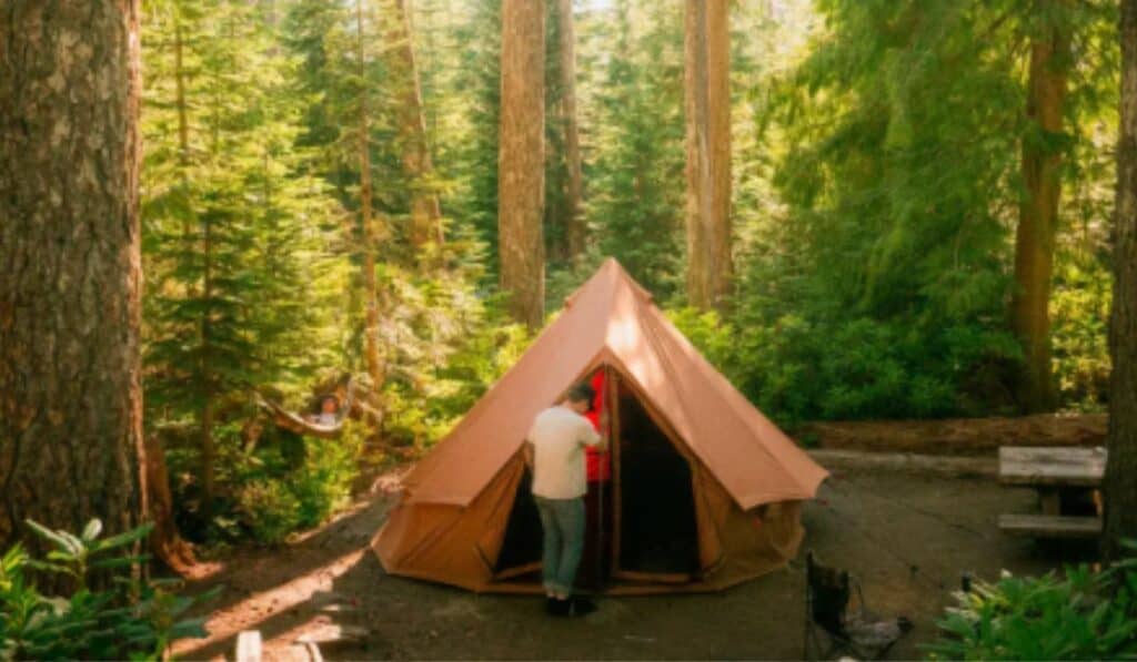 Camping de Wildernis 2025