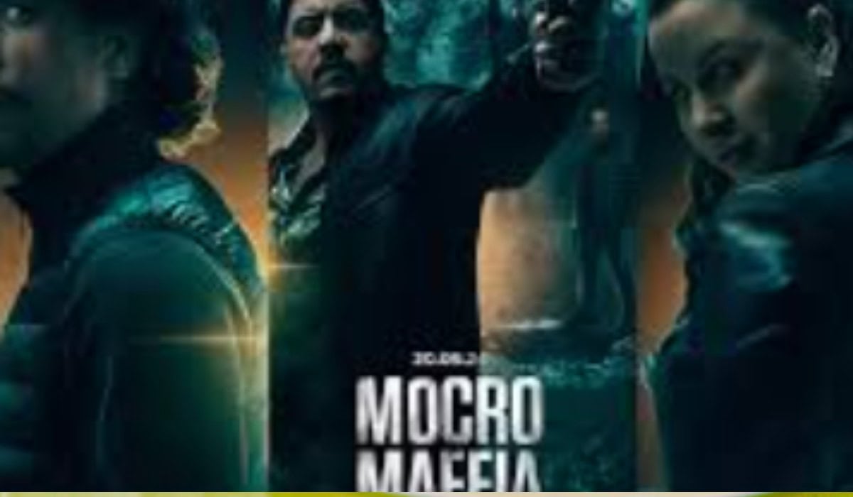 De Juiste Mocro Maffia Volgorde Seizoenen Specials Personages voor Fans