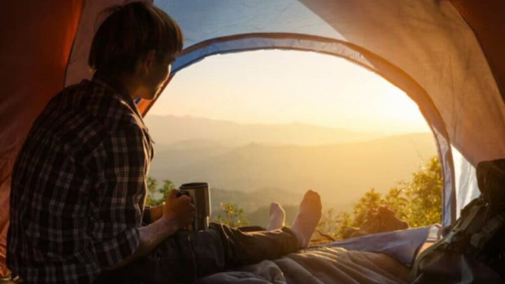 Camping De Wildernis Terugkijken en Afleveringen Streamen