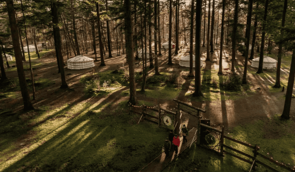 Camping de Wildernis programma