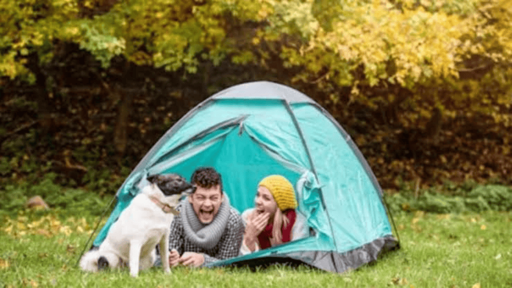 Camping De Wildernis